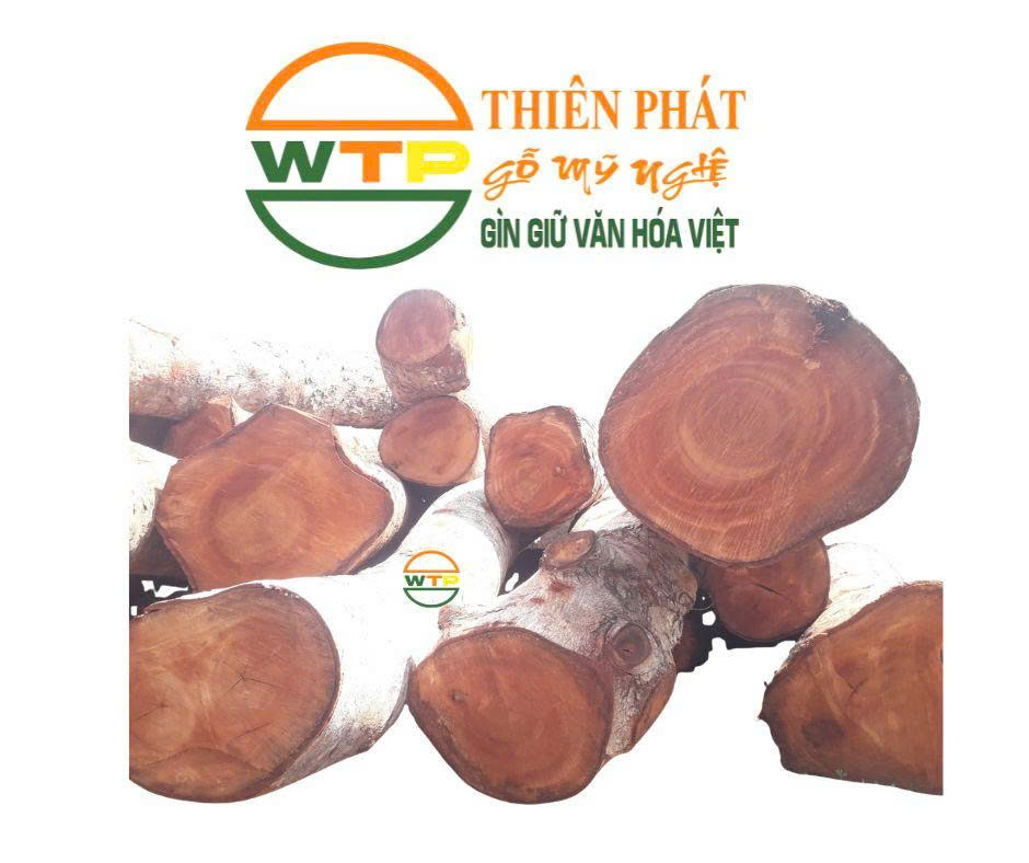 vân gỗ xà cừ tự nhiên màu nâu đỏ